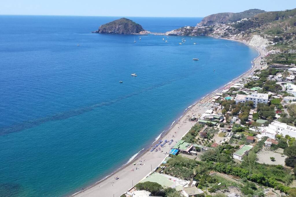 Giardino Mediterraneo Lacco Ameno  ภายนอก รูปภาพ