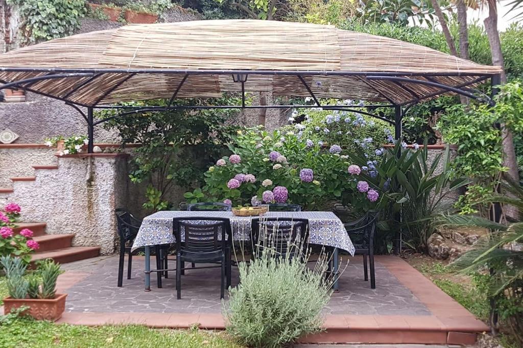 Giardino Mediterraneo Lacco Ameno  ภายนอก รูปภาพ