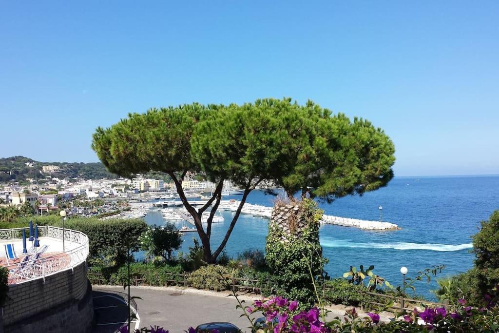 Giardino Mediterraneo Lacco Ameno  ภายนอก รูปภาพ