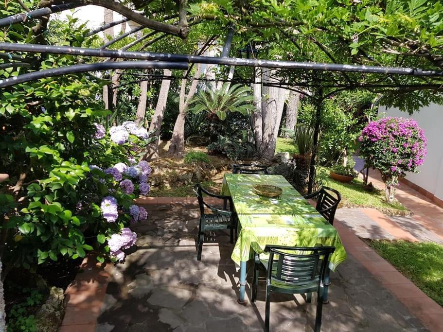 Giardino Mediterraneo Lacco Ameno  ภายนอก รูปภาพ