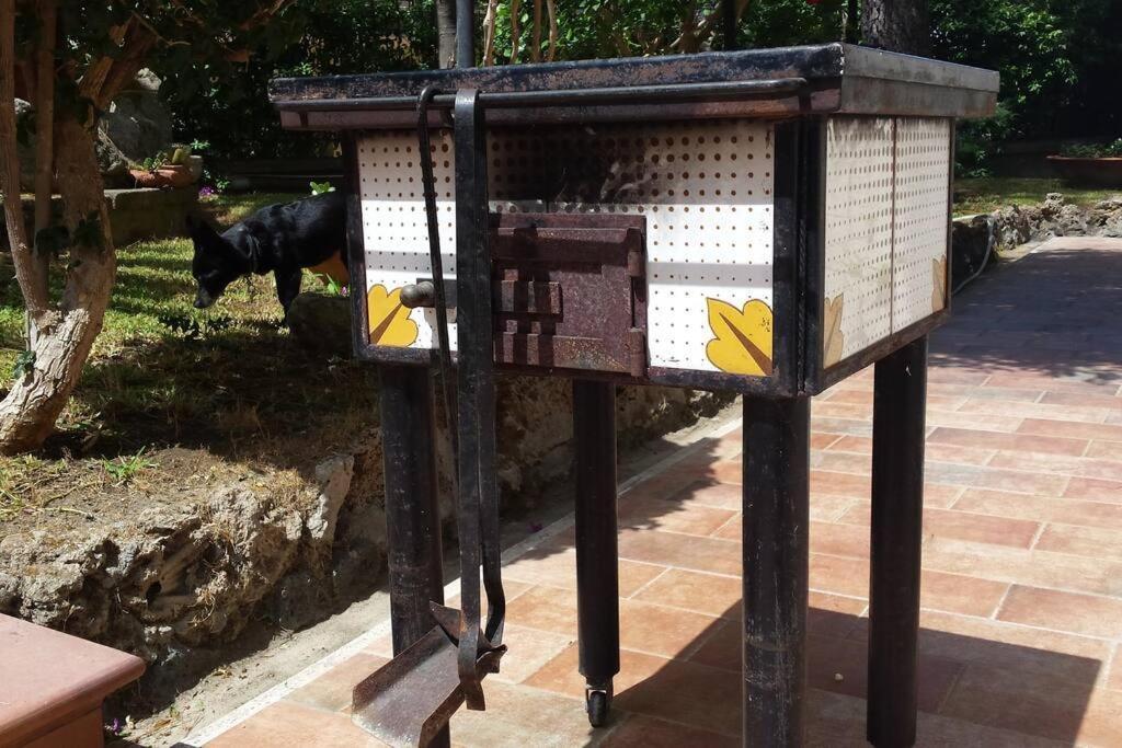 Giardino Mediterraneo Lacco Ameno  ภายนอก รูปภาพ