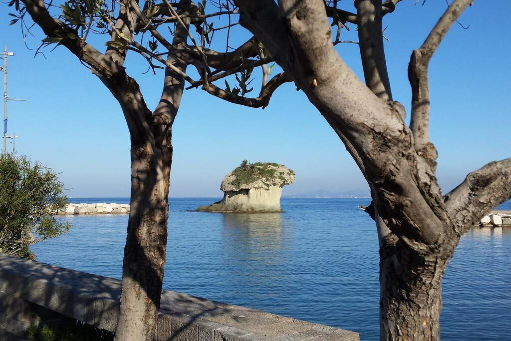 Giardino Mediterraneo Lacco Ameno  ภายนอก รูปภาพ