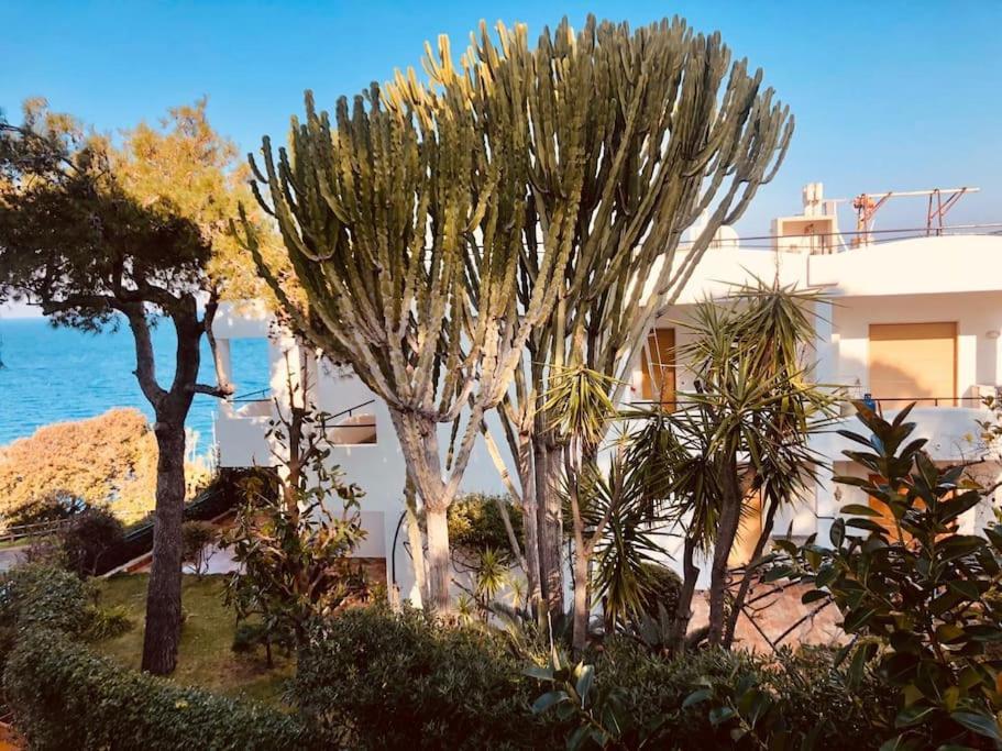 Giardino Mediterraneo Lacco Ameno  ภายนอก รูปภาพ