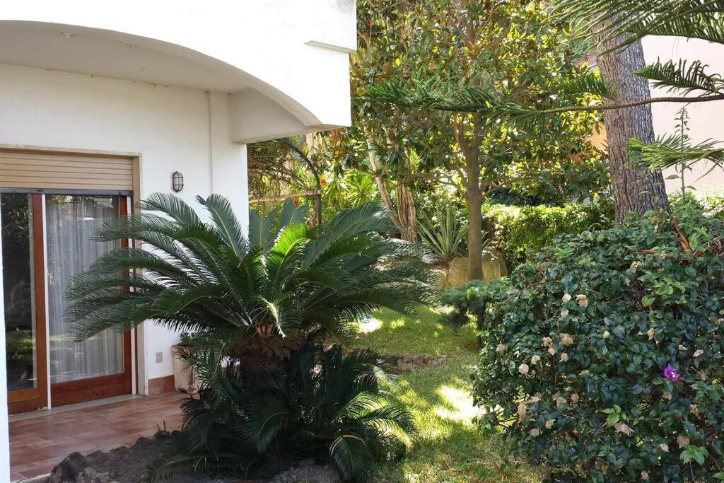 Giardino Mediterraneo Lacco Ameno  ภายนอก รูปภาพ