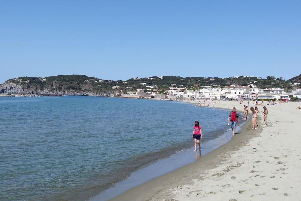 Giardino Mediterraneo Lacco Ameno  ภายนอก รูปภาพ