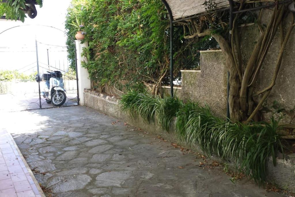 Giardino Mediterraneo Lacco Ameno  ภายนอก รูปภาพ